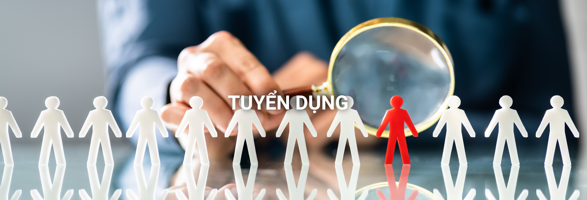 Hỗ trợ tuyển dụng