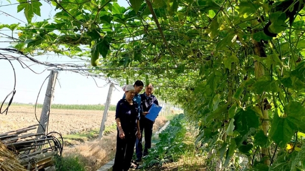 Tín dụng chính sách: Cánh tay nối dài đưa người nghèo Thái Bình vượt khó vươn lên