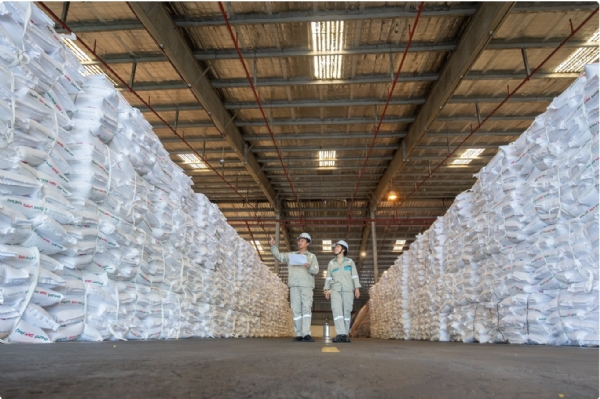 &acute;Doanh nghiệp tư nhân vẫn đứng ngoài chuỗi giá trị của các tập đoàn FDI&acute;