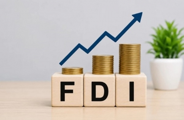 Doanh nghiệp FDI phải đáp ứng điều kiện gì để được cấp giấy phép kinh doanh?